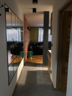 Studio Rynkowa, Szczecin